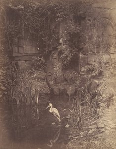 Piscator, n. 2, 1856