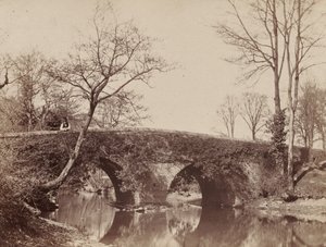 Il ponte di campagna (Ponte di Staplylton, Bristol) da John Dillwyn Llewelyn