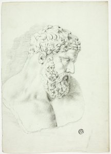 Busto di uomo barbuto da John Downman