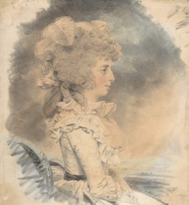 Signora Palmer da John Downman