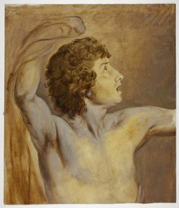 Studio dal vero