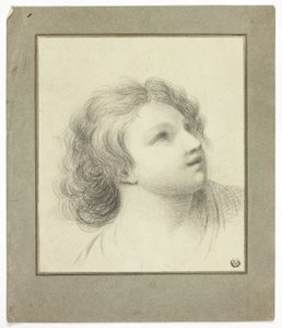 Testa rovesciata della gioventù da John Downman