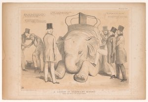 Caricatura sulla nomina di Henry Hardinge a governatore dell