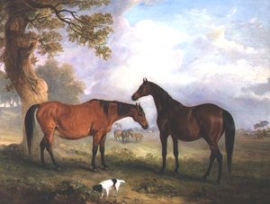 Fattrici al pascolo da John E. Ferneley