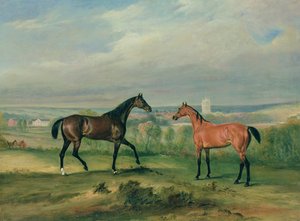 I cacciatori preferiti del conte Bathyany a Melton Mowbray da John E. Ferneley
