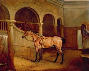 Il cavallo roano di Lord Villiers nelle stalle di Middleton Park da John E. Ferneley