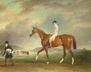 Il cavallo da corsa castano Cur con fantino su Newmarket Heath da John E. Ferneley