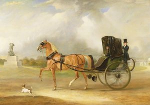 William Massey-Stanley guida il suo cabriolet a Hyde Park, 1833