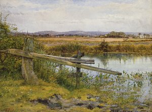 Il bordo della strada, 1862