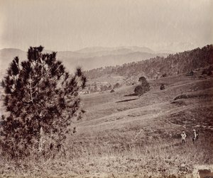 Paesaggio con albero e tre uomini, India da John Edward Saché
