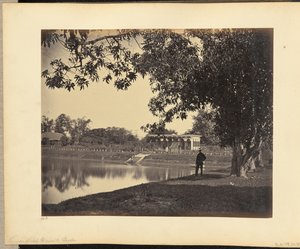 Vista nel giardino di Rajah Ghosauls da John Edward Saché