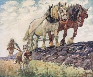 Aratura del campo, illustrazione da 