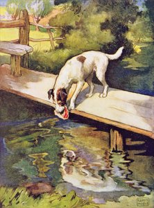 Il Cane e l