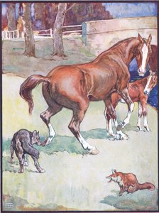 La cavalla sollevò lo zoccolo, illustrazione per Reynard the Fox, da Animal Legends from Many Lands, pubblicato da Raphael Tuck & Sons Ltd. da John Edwin Noble