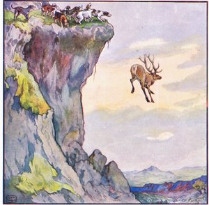 Il cervo si tuffò nell