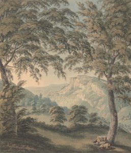 Matlock High Tor, Derbyshire da John Emes
