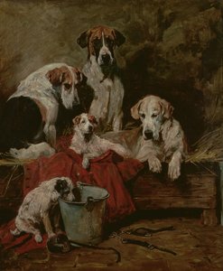 Compagni di canile da John Emms