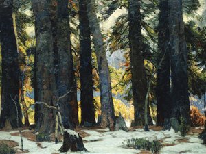 Il Santuario da John Fabian Carlson