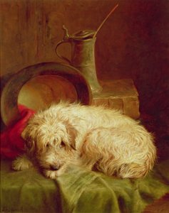 Un terrier