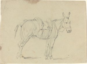 Asino che allunga una gamba posteriore da John Flaxman