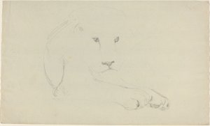 Leone da John Flaxman