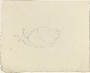 Lumache (recto e verso)
