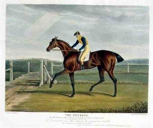 The Duchess, vincitore del Great St. Leger a Doncaster da John Frederick Herring Snr