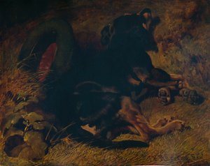 Cane che dorme, 1850, 1935 da John Frederick Hering