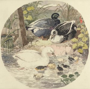 Anatre da John Frederick Herring