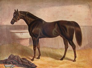 Gladiatore da John Frederick Herring I