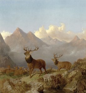 (dettaglio) Cervi e cerve in un paesaggio montano, 1864 da John Frederick Herring Junior
