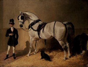 Un cavallo da carrozza di St. James da John Frederick Herring Senior
