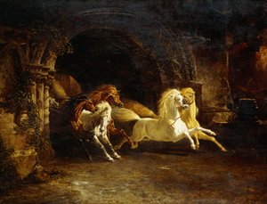 I cavalli di Duncan da John Frederick Herring Senior