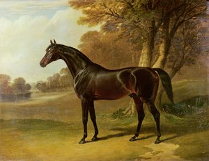 Glauco da John Frederick Herring Senior
