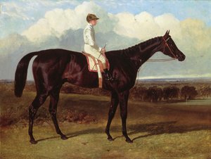 Jonathan Wild, un cavallo da corsa baio scuro, a Goodwood, T. Ryder in sella da John Frederick Herring Senior