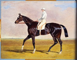 Lucetta con J. Robinson, 1834 da John Frederick Herring Senior