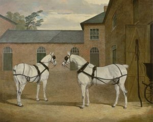 I Cavalli Grigi della Carrozza del Sig. Sowerby nel suo Cortile a Putteridge Bury, Hertfordshire, 1836