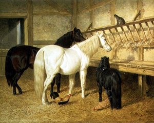Pony alla mangiatoia da John Frederick Herring Senior