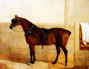 Cavallo da Tiro Premiato in Imbracatura da John Frederick Herring Senior