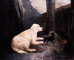 Pronti e in attesa