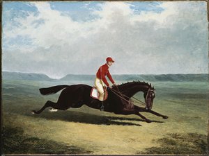 Il barone con Bumpy Up, a Newmarket da John Frederick Herring Senior