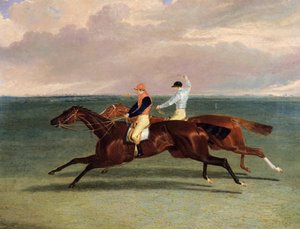 La gara tra 