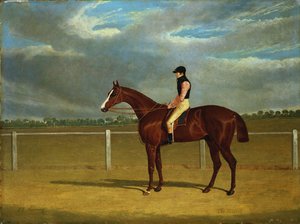 Il cavallo da corsa "Il Colonnello" con William Scott in sella da John Frederick Herring Senior