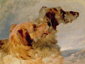 Due Levrieri, 1851 da John Frederick Herring Senior