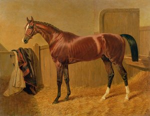 Immagine sconosciuta da John Frederick Herring Senior