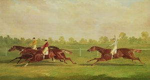 Immagine sconosciuta da John Frederick Herring Senior