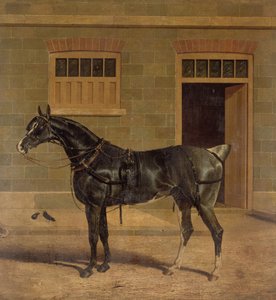 Immagine sconosciuta