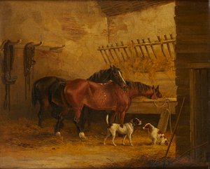 Cavalli e Cani in un Interno di Stalla da John Frederick Jr. (attr.to) Herring