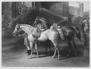 I cavalli della regina (dalla collezione reale) da John Frederick Jr. Herring