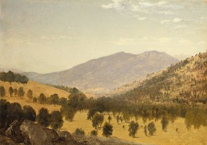 Bergen Park, Colorado da John Frederick Kensett